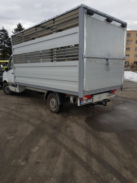 Transport animale vii